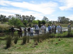 Farm Dam Workshop 5.jpg